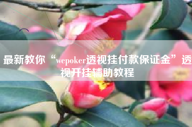 最新教你“wepoker透视挂付款保证金”透视开挂辅助教程