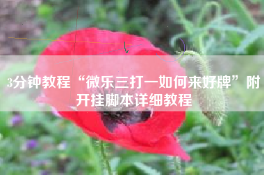 3分钟教程“微乐三打一如何来好牌”附开挂脚本详细教程