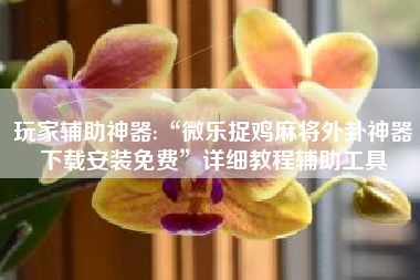 玩家辅助神器:“微乐捉鸡麻将外卦神器下载安装免费	”详细教程辅助工具