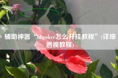 辅助神器“hhpoker怎么开挂教程”(详细透视教程)