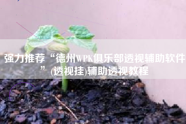 强力推荐“德州WPK俱乐部透视辅助软件	”(透视挂)辅助透视教程