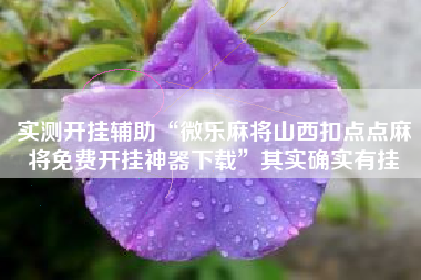 实测开挂辅助“微乐麻将山西扣点点麻将免费开挂神器下载	”其实确实有挂