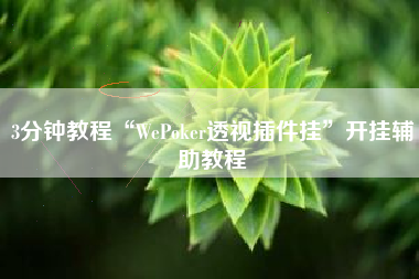 3分钟教程“WePoker透视插件挂”开挂辅助教程