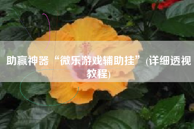 助赢神器“微乐游戏辅助挂	”(详细透视教程)