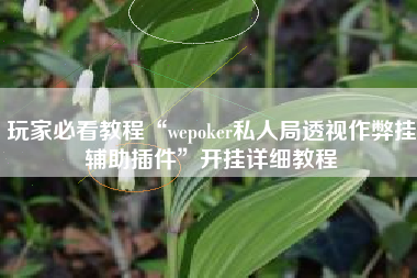 玩家必看教程“wepoker私人局透视作弊挂辅助插件”开挂详细教程