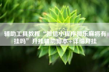 辅助工具教程“微信小程序微乐麻将有挂吗	”开挂辅助脚本+详细开挂