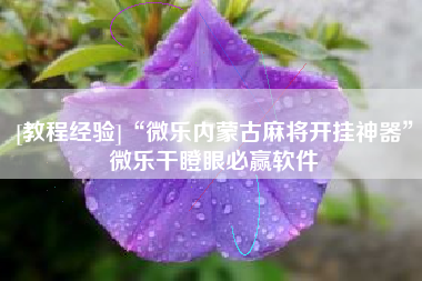 [教程经验]“微乐内蒙古麻将开挂神器”微乐干瞪眼必赢软件