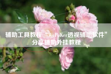 辅助工具教程“WePoKer透视辅助软件	”分享辅助外挂教程