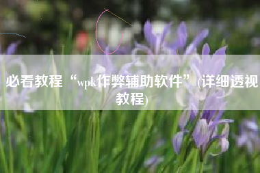 必看教程“wpk作弊辅助软件”(详细透视教程)
