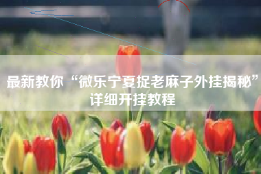 最新教你“微乐宁夏捉老麻子外挂揭秘	”详细开挂教程