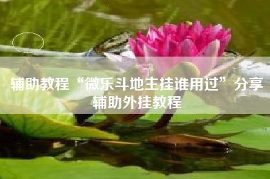 辅助教程“微乐斗地主挂谁用过”分享辅助外挂教程