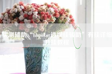 实测辅助“hhpoker透视挂辅助	”有挂详细开挂教程