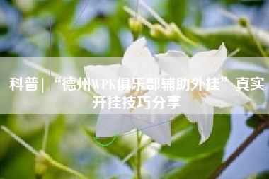 科普|“德州WPK俱乐部辅助外挂	”真实开挂技巧分享