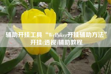 辅助开挂工具“WePoker开挂辅助方法”开挂(透视)辅助教程