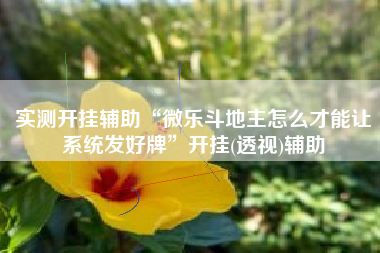 实测开挂辅助“微乐斗地主怎么才能让系统发好牌”开挂(透视)辅助