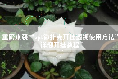 重磅来袭“wpk微扑克开挂透视使用方法”详细开挂教程