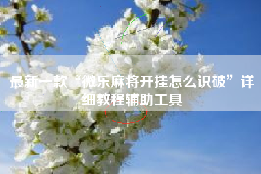 最新一款“微乐麻将开挂怎么识破	”详细教程辅助工具