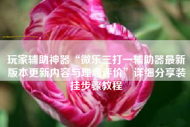 玩家辅助神器“微乐三打一辅助器最新版本更新内容与理念评价	”详细分享装挂步骤教程