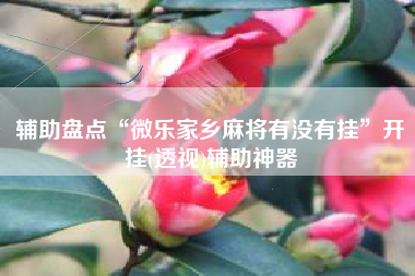 辅助盘点“微乐家乡麻将有没有挂”开挂(透视)辅助神器
