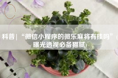科普|“微信小程序的微乐麻将有挂吗”(曝光透视必备猫腻)