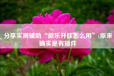 分享实测辅助“微乐开挂怎么用”(原来确实是有插件