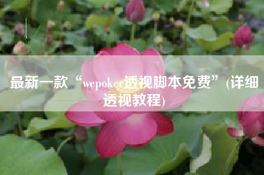 最新一款“wepoker透视脚本免费”(详细透视教程)