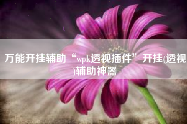 万能开挂辅助“wpk透视插件	”开挂(透视)辅助神器
