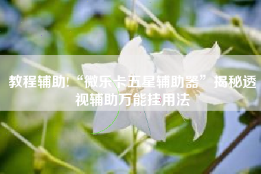 教程辅助!“微乐卡五星辅助器”揭秘透视辅助万能挂用法