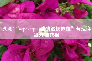 实测!“wepokerplus辅助透视教程”有挂详细开挂教程