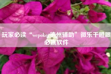 玩家必读“wepoker德州辅助	”微乐干瞪眼必赢软件