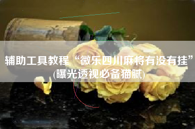 辅助工具教程“微乐四川麻将有没有挂	”(曝光透视必备猫腻)