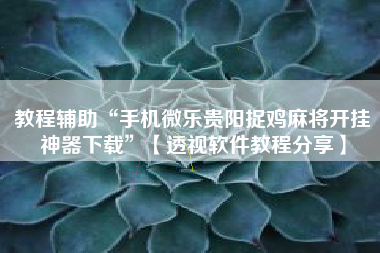 教程辅助“手机微乐贵阳捉鸡麻将开挂神器下载”【透视软件教程分享】