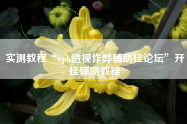 实测教程“wpk透视作弊辅助挂论坛”开挂辅助教程