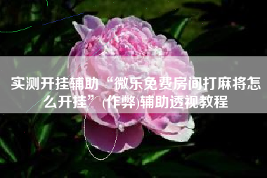 实测开挂辅助“微乐免费房间打麻将怎么开挂”(作弊)辅助透视教程