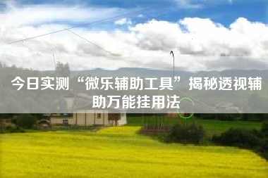 今日实测“微乐辅助工具	”揭秘透视辅助万能挂用法