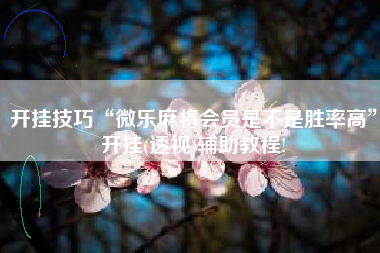 开挂技巧“微乐麻将会员是不是胜率高	”开挂(透视)辅助教程!