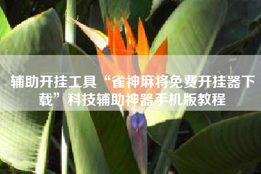 辅助开挂工具“雀神麻将免费开挂器下载”科技辅助神器手机版教程