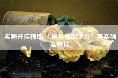 实测开挂辅助:“德扑辅助工具”其实确实有挂