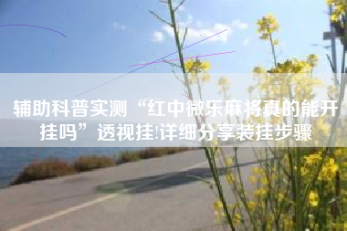 辅助科普实测“红中微乐麻将真的能开挂吗”透视挂!详细分享装挂步骤