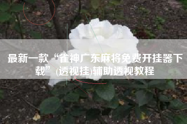 最新一款“雀神广东麻将免费开挂器下载”(透视挂)辅助透视教程