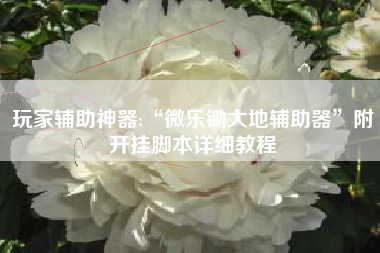 玩家辅助神器:“微乐锄大地辅助器	”附开挂脚本详细教程