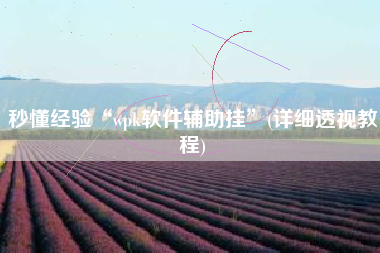 秒懂经验“wpk软件辅助挂	”(详细透视教程)