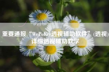 重要通报“WePoKer透视辅助软件	”(透视)详细透视辅助教学