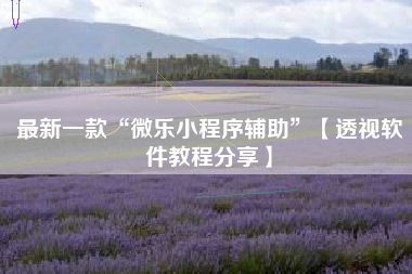 最新一款“微乐小程序辅助”【透视软件教程分享】