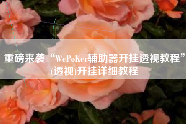 重磅来袭“WePoKer辅助器开挂透视教程”(透视)开挂详细教程
