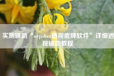 实测辅助“wepoker透视底牌软件”详细透视辅助教程