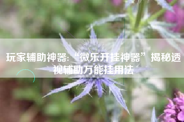 玩家辅助神器:“微乐开挂神器”揭秘透视辅助万能挂用法