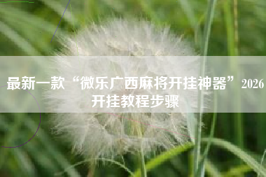 最新一款“微乐广西麻将开挂神器”2026开挂教程步骤