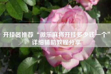 开挂器推荐“微乐麻将开挂多少钱一个”详细辅助教程分享