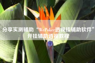 分享实测辅助“WePoker透视挂辅助软件”开挂辅助透视教程